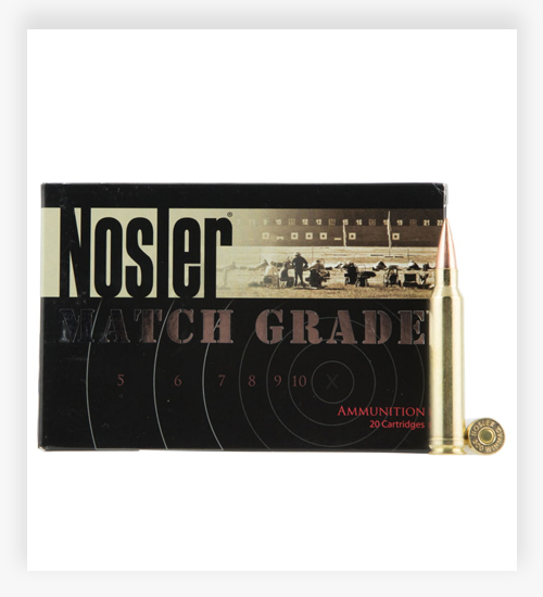 Nosler .300 Winchester Magnum 210 Grain Hollow Point Boat Tail Ammo