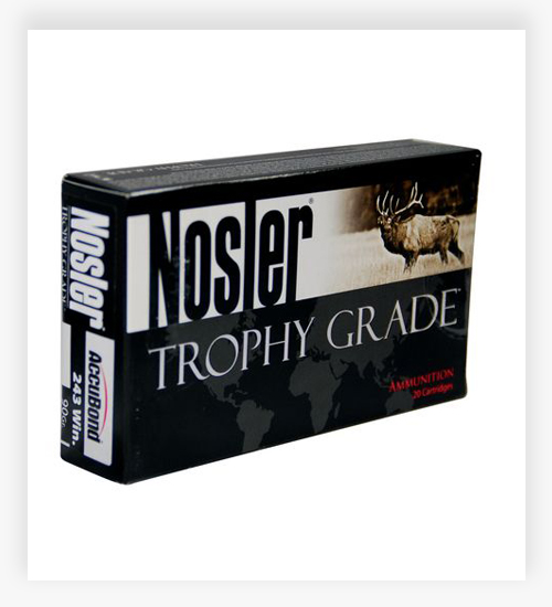 Nosler Trophy Grade .243 Winchester 90 Grain AccuBond 243 WSSM Ammo