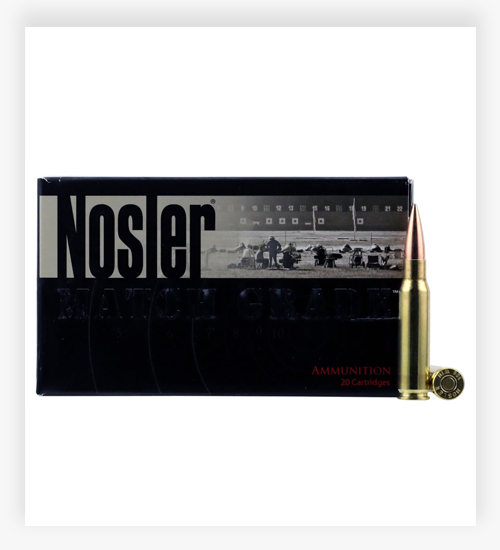 Nosler Match Grade .308 Winchester 175 Grain Hollow Point Boat Tail Ammo