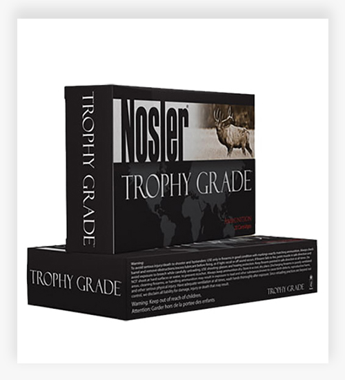 Nosler Trophy Grade 300 Grain 375 H&H Magnum Ammo
