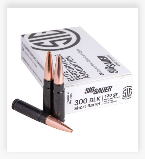 Sig Sauer SBR Solid Copper .300 AAC Blackout 205 GR Hunting Tipped Ammo