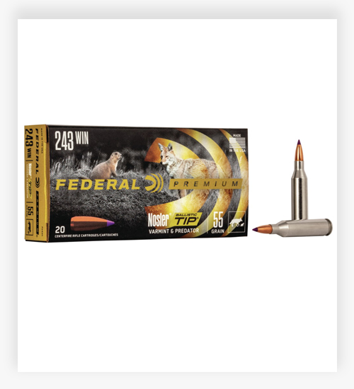 Federal Premium V-SHOK .243 Winchester 55 GR Nosler Ballistic Tip Ammo