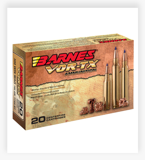 Barnes Vor-Tx 50 Gr TSX FB .22-250 Remington Ammo