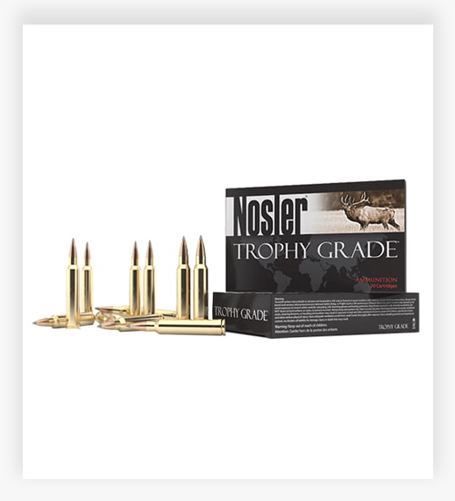 Nosler Trophy Grade .300 Winchester Magnum 190 Grain AccuBond Ammo