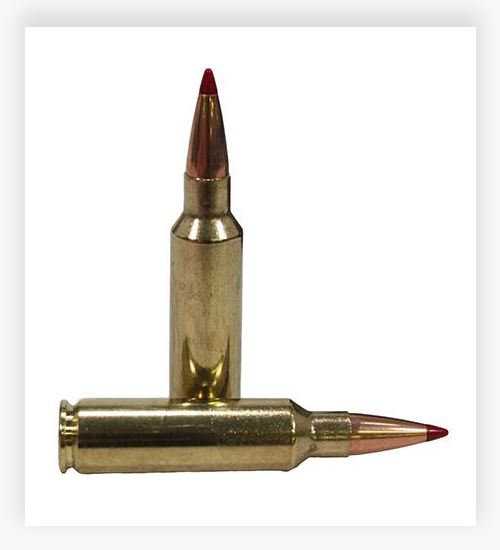 Hornady Precision Hunter 200 Grain ELD-X 300 Winchester Short Magnum Ammo
