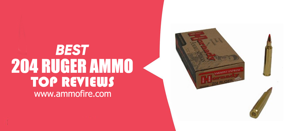 Top 12 204 Ruger Ammo