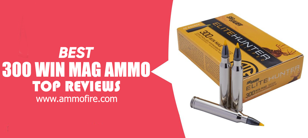 Top 35 300 Win Mag Ammo