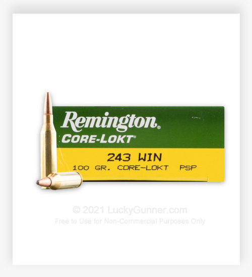 Remington Coke-Lokt 243 Ammo 100 Grain PSP