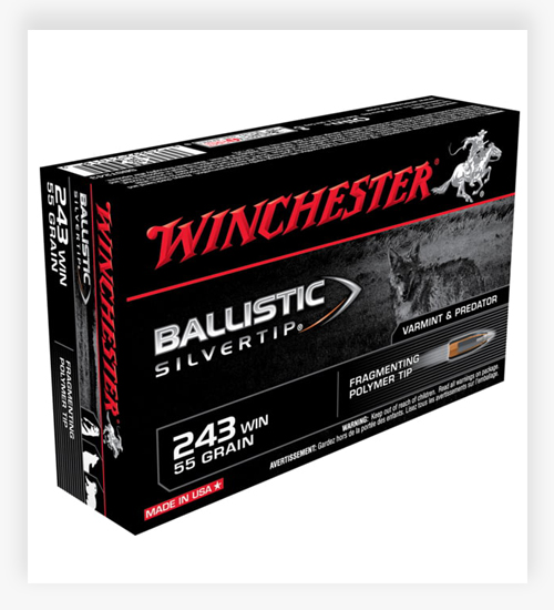 Winchester BALLISTIC SILVERTIP .243 Winchester 55 GR Fragmenting Polymer Tip 243 Ammo 