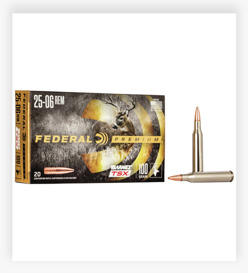 Federal Premium BARNES TSX .25-06 Remington Ammo 100 Grain Barnes Triple-Shock X