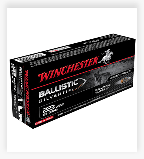 Winchester BALLISTIC SILVERTIP .223 Winchester Super Short Magnum Ammo 55 Grain FPT