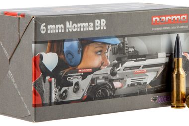 Best 6mm Norma BR