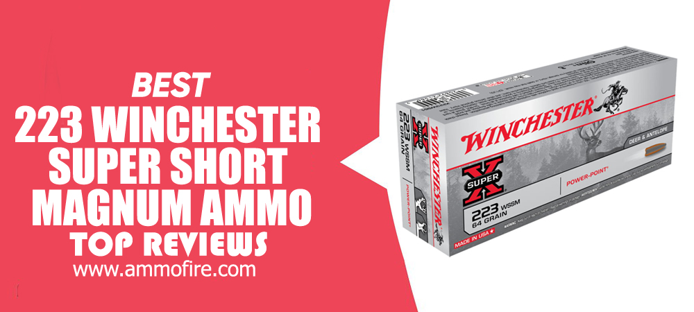 Top 2 223 Winchester Super Short Magnum Ammo