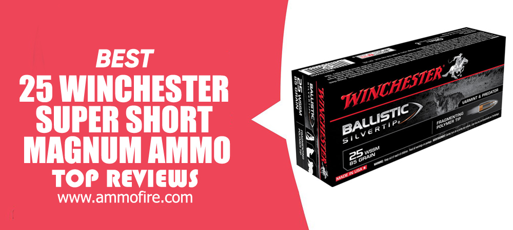 Top 2 25 Winchester Super Short Magnum Ammo