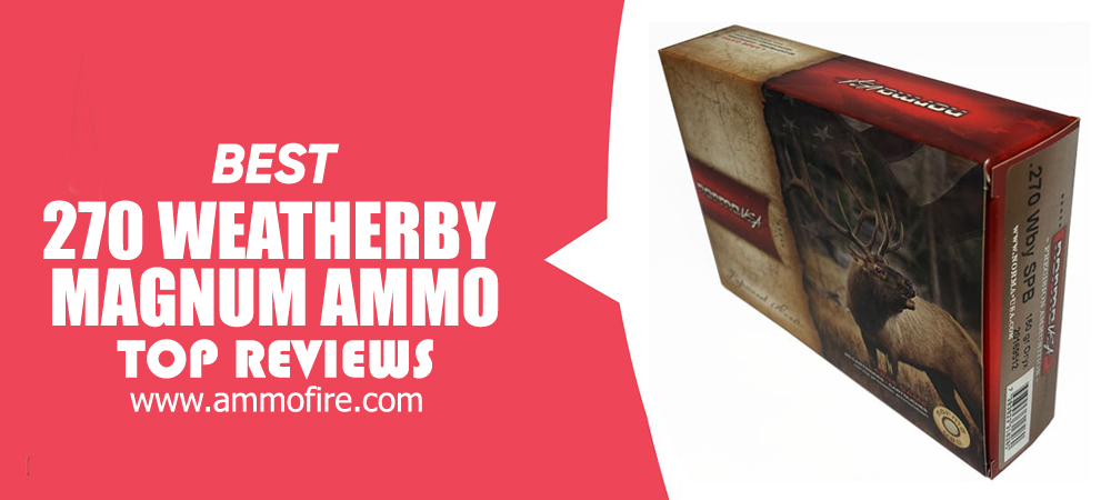 Top 4 270 Weatherby Magnum Ammo