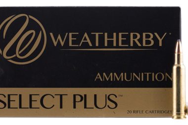 Best 378 Weatherby Magnum Ammo