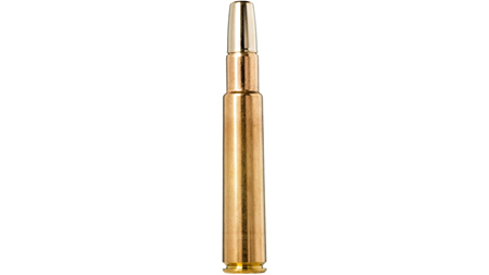 Expert Guide to the Best 416 Taylor Ammo for Optimal Hunting Performance