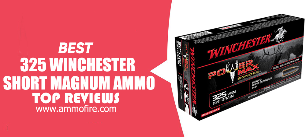 Top 5 325 Winchester Short Magnum Ammo