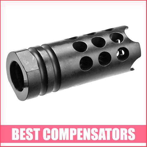 Best Compensators