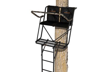 Best Ladder Tree Stand