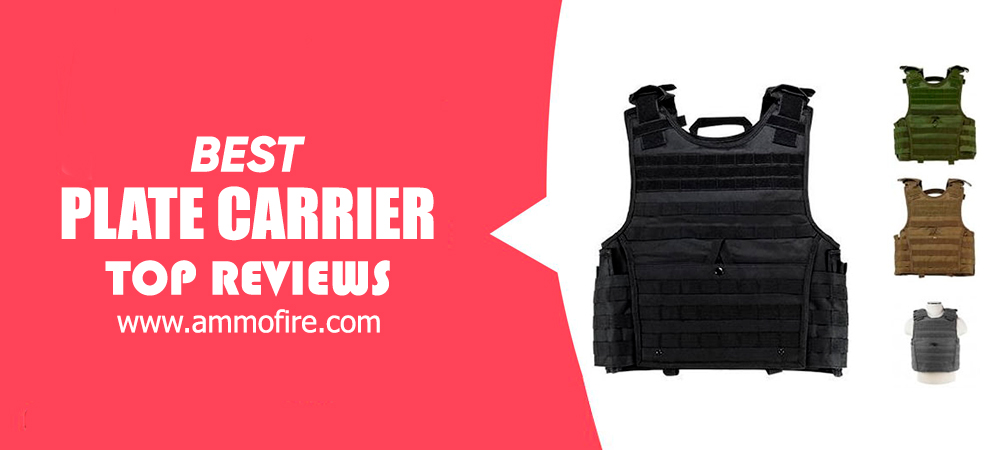 Top 20 Plate Carrier
